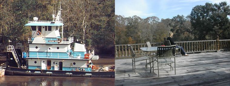 2002-12-Mo-swamp-view-web
