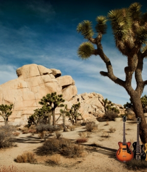 Martin Huch - Joshua Tree